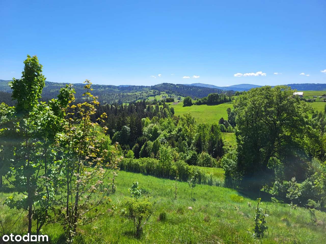Działka budowlana, 3700 m2, Jaworzynka - Pełny obrazek: 5/7