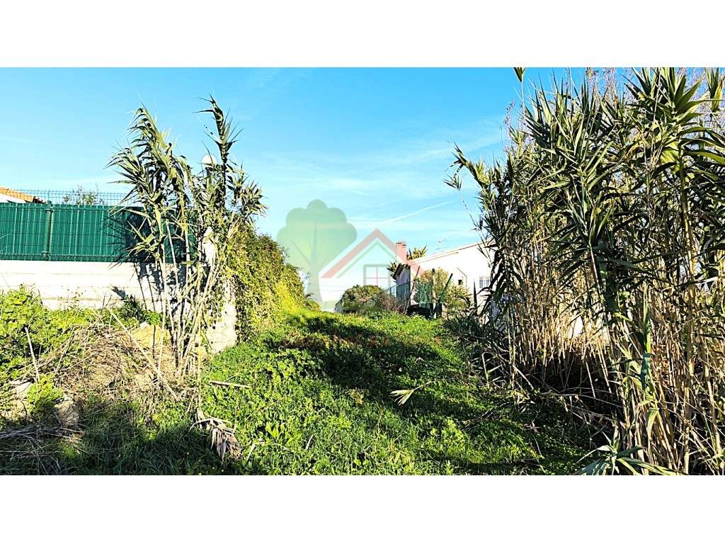 Terreno urbano para construção de 4 moradias com PIP-9