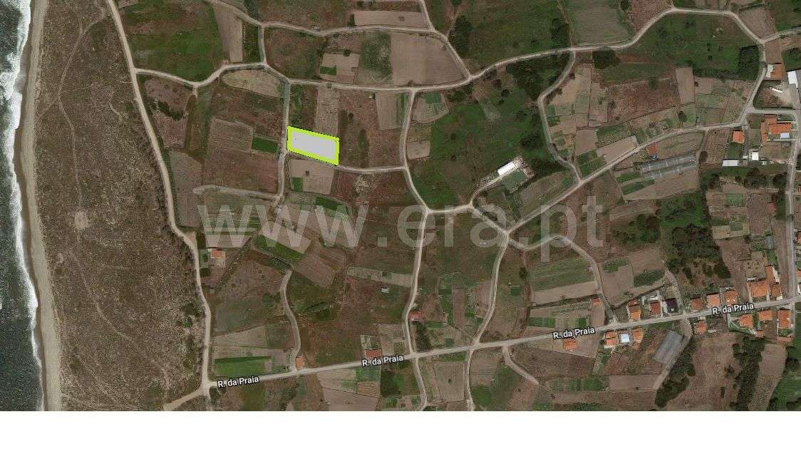 Terreno agrícola, Belinho, Esposende - Grande imagem: 4/4