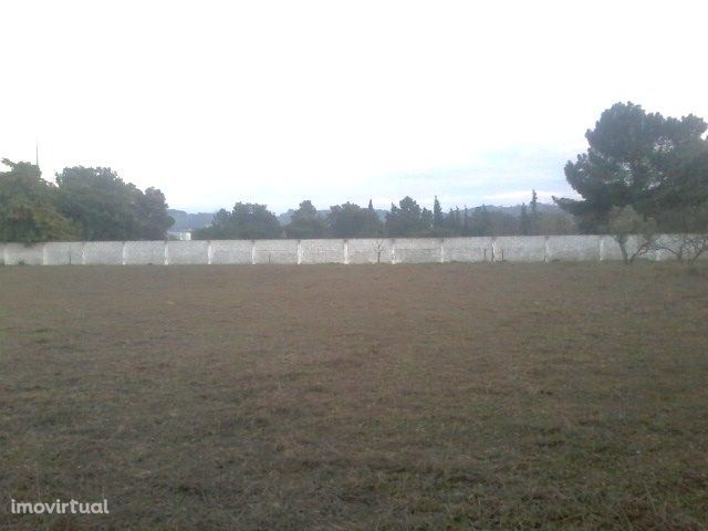 Azeitão Terreno com 12000 m2 para lMoradia c/ projeto.