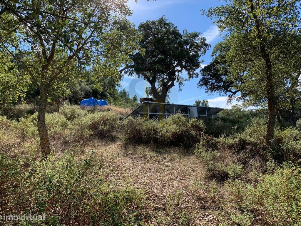 Quinta de 2.9 Hectares em Proença-a-velha - Grande imagem: 5/53