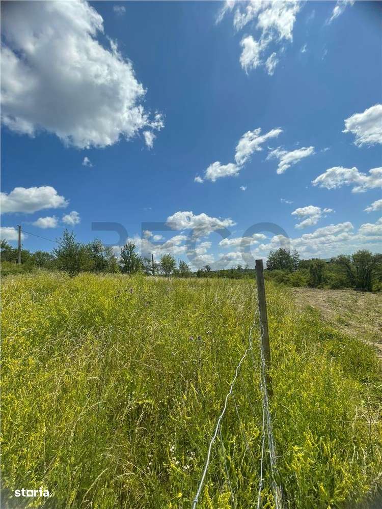 RECO Teren Extravilan Podgoria Oradea - Imagine principală: 4/10