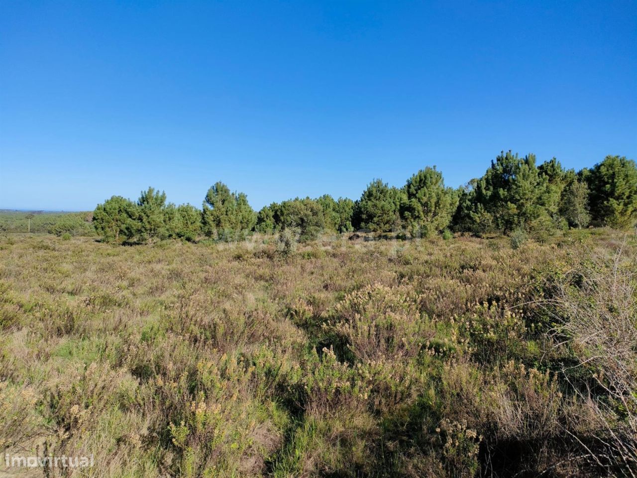 Terreno Rústico com 4,8ha, Aljezur