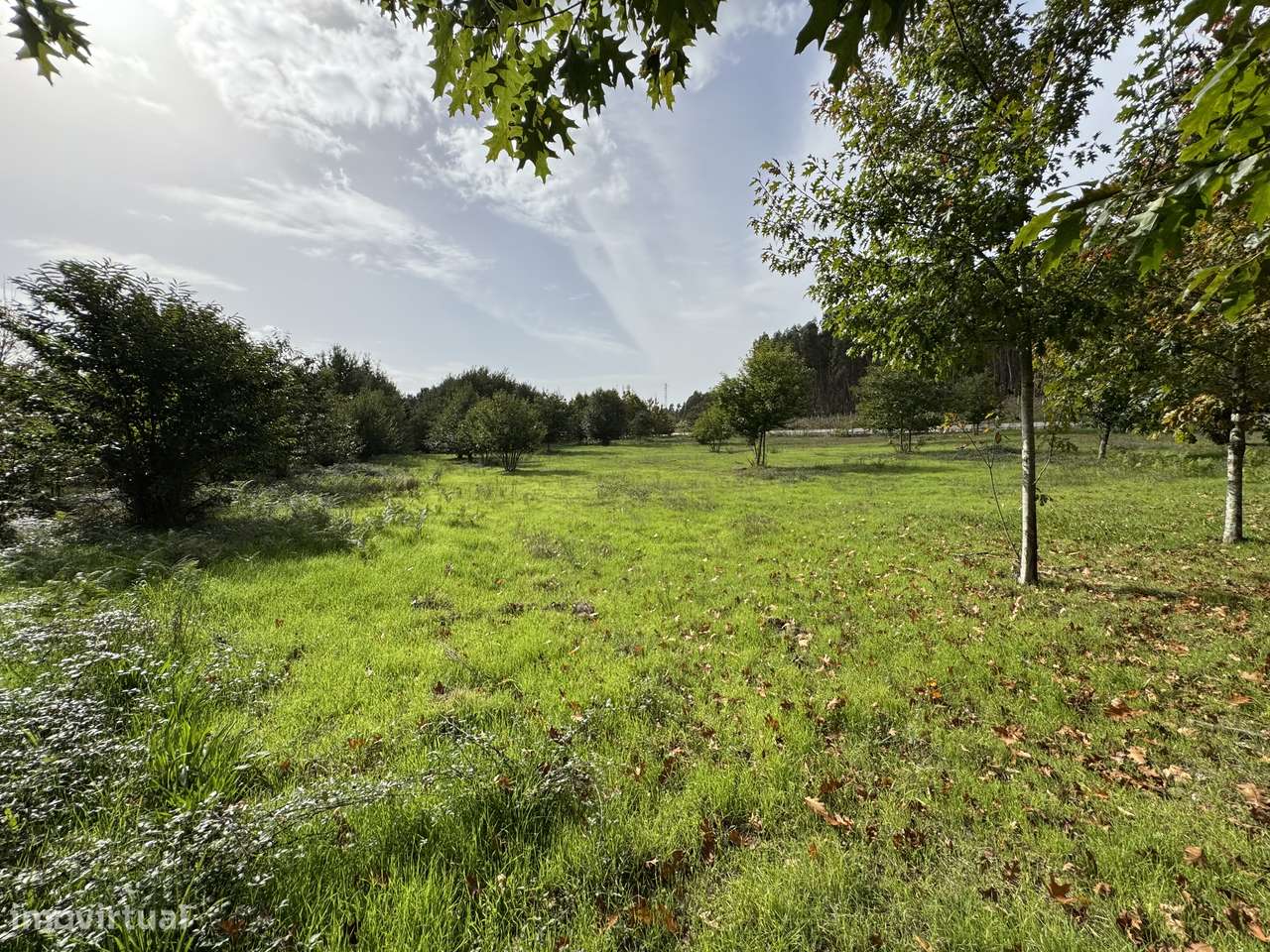Moradia, 140 m², Molelos-47