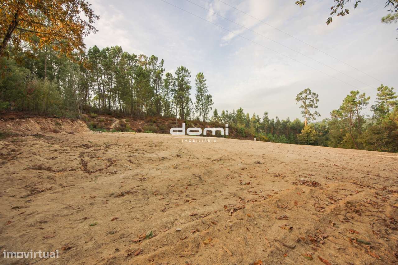 Terreno rústico com viabilidade de construção em Bandavizes, Vouzela - Grande imagem: 4/11