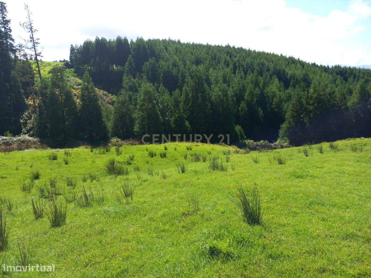 Terreno Rustico. - Grande imagem: 2/4