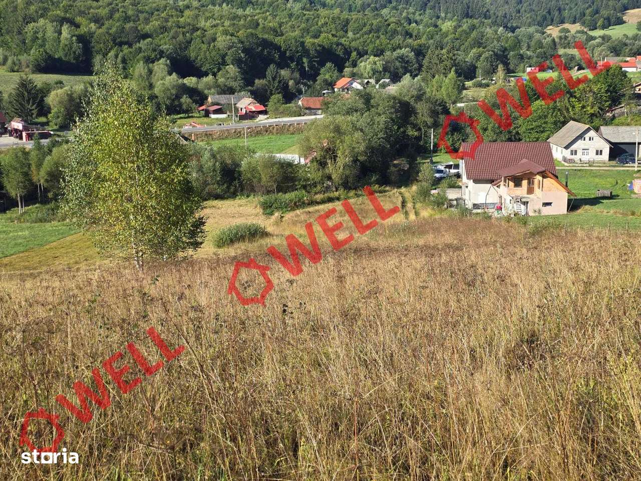 De vânzare teren extravilan în Întorsura Buzăului, Brădet!-8