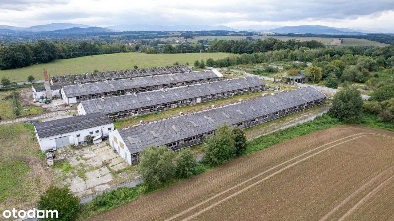 Budynki hodowlane i magazynowe na działce 4,3ha - Pełny obrazek: 5/9