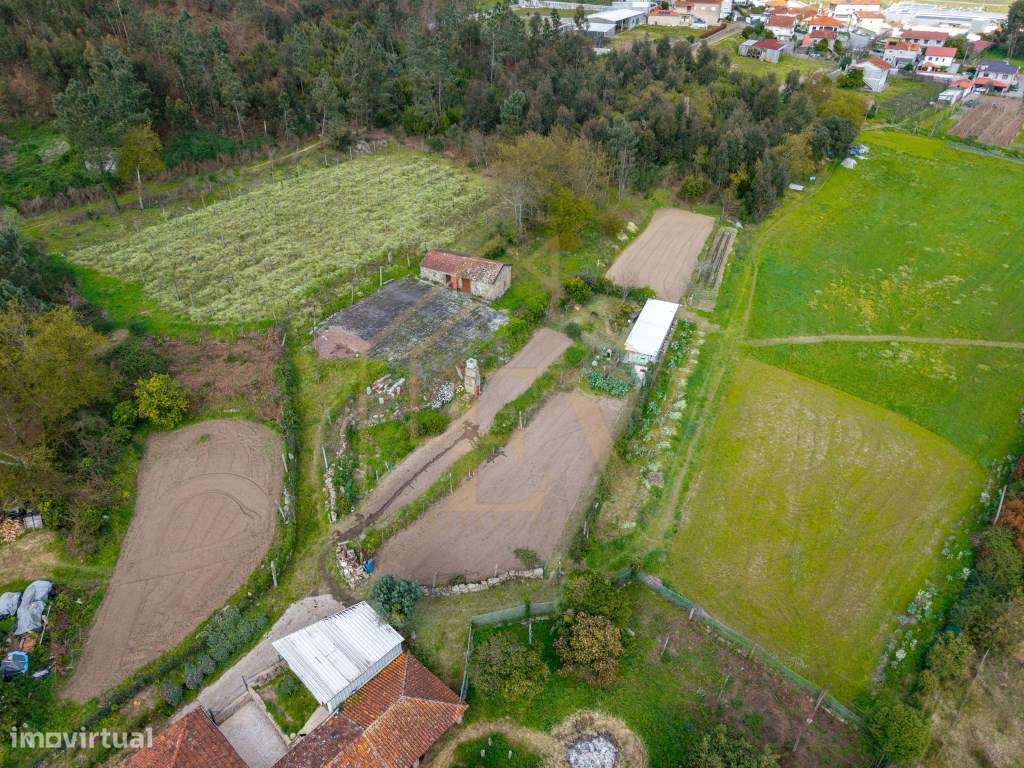 Quinta com Potencial de Expansão | Lordelo - Guimarães-41