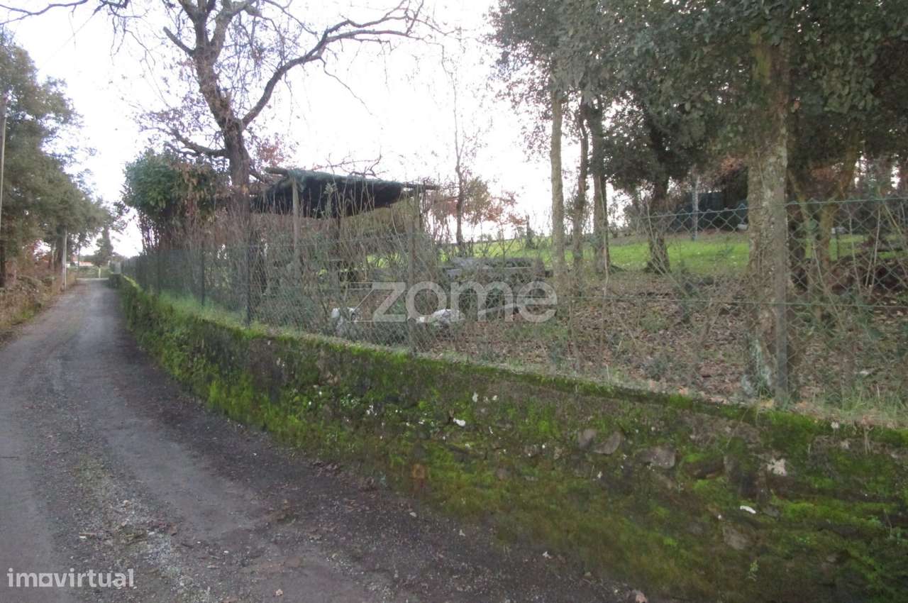 terreno rústico com 2 600 M2 em Palmeira Santo Tirso -Porto - Grande imagem: 4/15