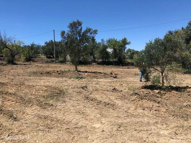Terreno urbano de 4000m² com ruína e vista panorâmica - Grande imagem: 5/7
