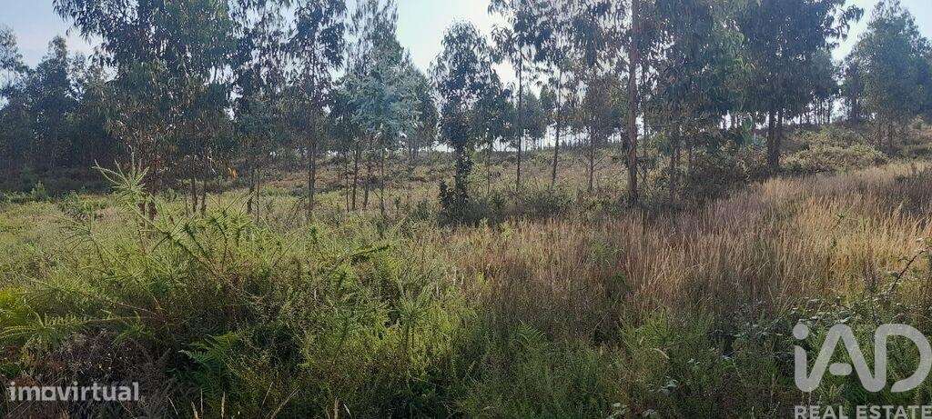 Terreno em Pedrógão Grande de 5700,00 m2 - Grande imagem: 2/15