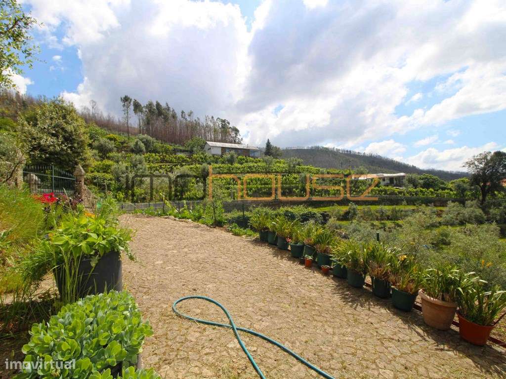 Quinta agrícola - 45 minutos do Porto-49