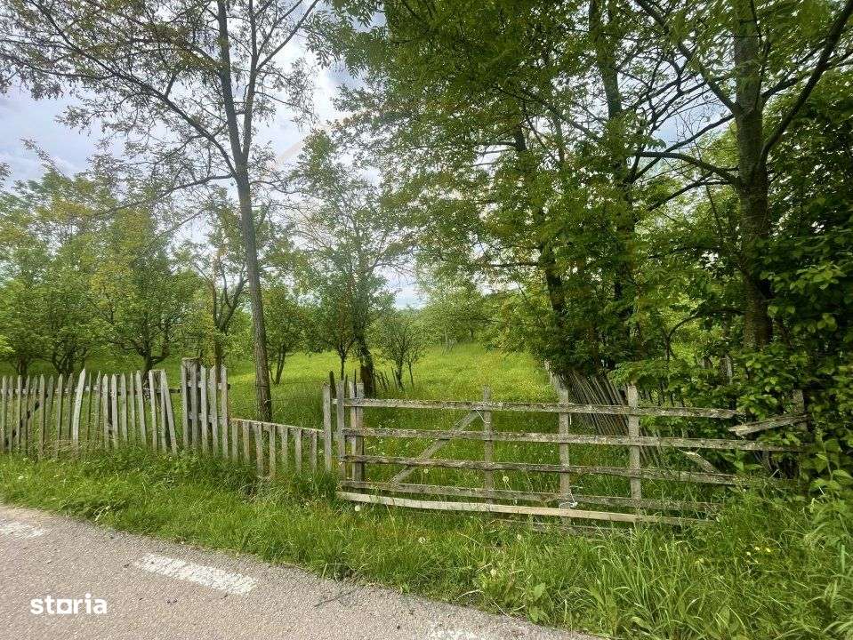 Teren intravilan Sotrile 6762 mp – Investitie, camping, agroturism - Imagine principală: 4/5