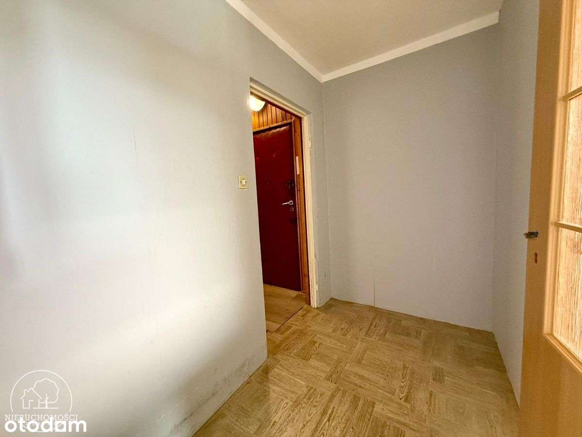 M3 z widokiem na Pasmo Karkonoszy - Pełny obrazek: 4/10