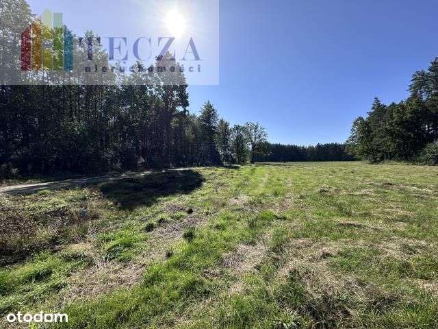 8 działek Budowalnych z wydanymi Wz,Borucza,gm.Str-9