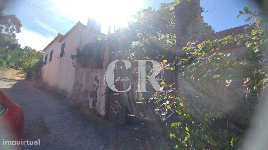 Moradia rustica T2 com adega, terreno, terraços e latada - Grande imagem: 3/60