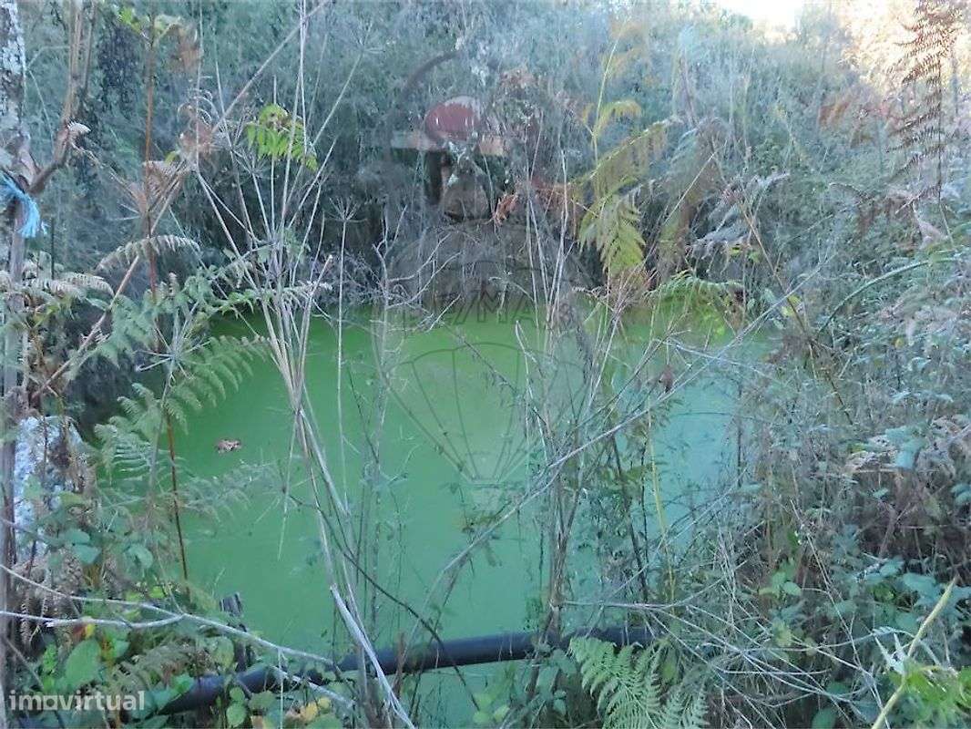 Quinta  para venda - Grande imagem: 4/20