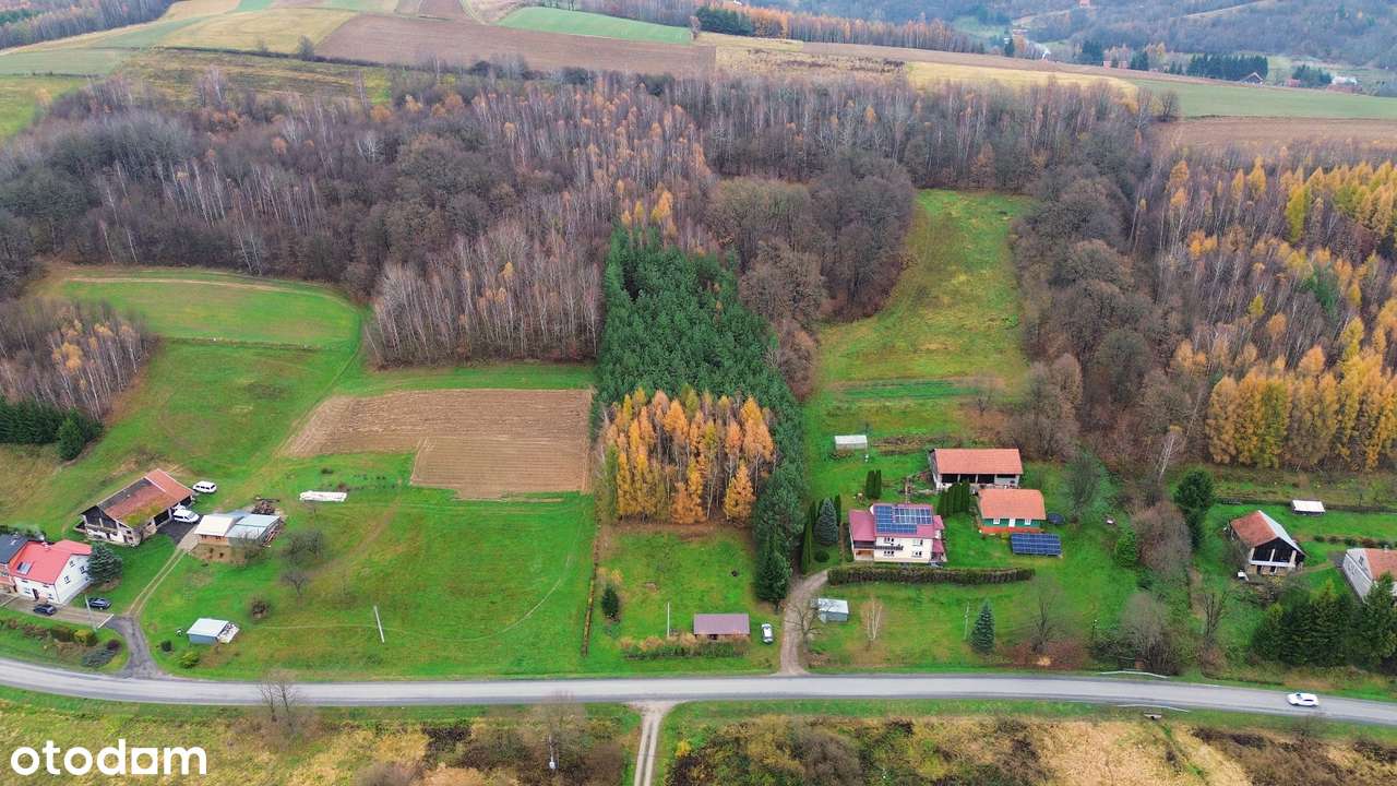 0,56ha z domkiem rekreacyjnym-3km od Strzyżowa tylko 3000zł/ar OKAZJA-7