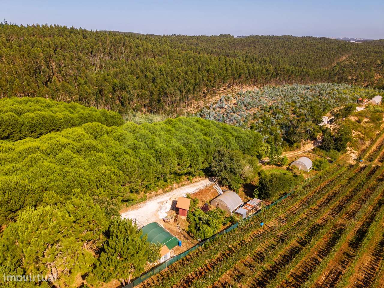 Terreno Agrícola na Fanadia | 16.100 m² de Potencial e Infraestrutu...-39