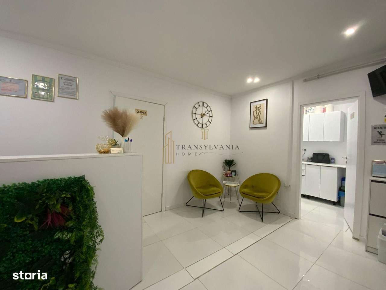 Saptiu comercial de vanzare-5