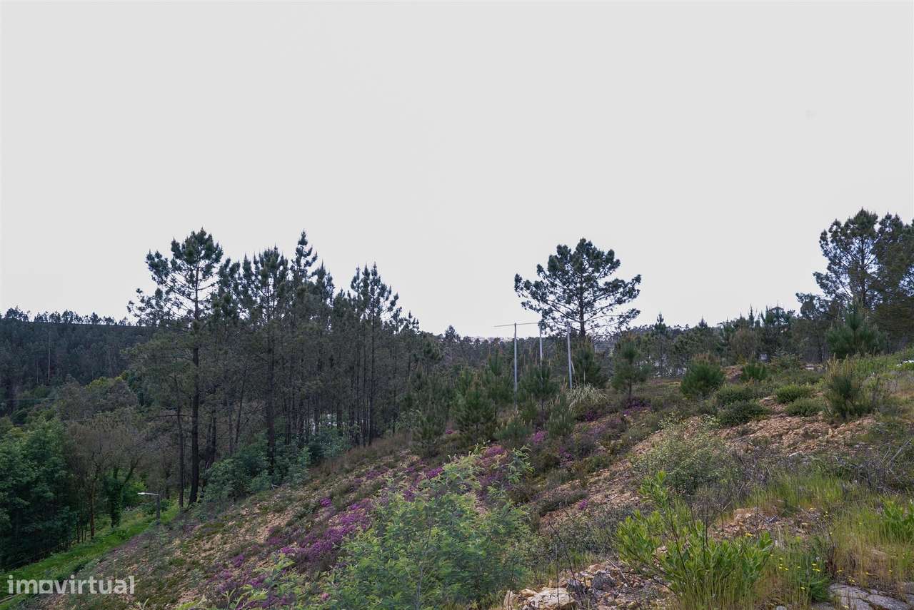 Terreno Urbano  Venda em Nogueira do Cravo e Pindelo,Oliveira de Azemé-7