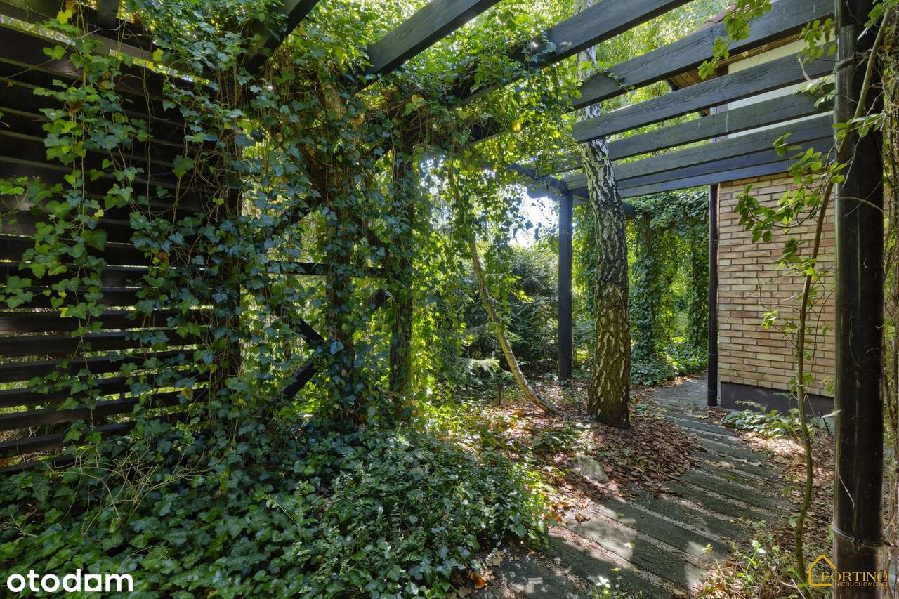 Stylowy w wysokim standardzie NOWA CENA-14