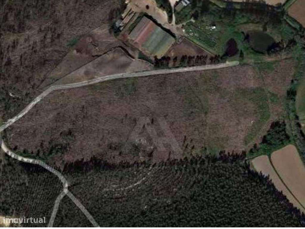 Terreno Rústico em Ramalhal a 10 minutos de Torres Vedras - Grande imagem: 2/28