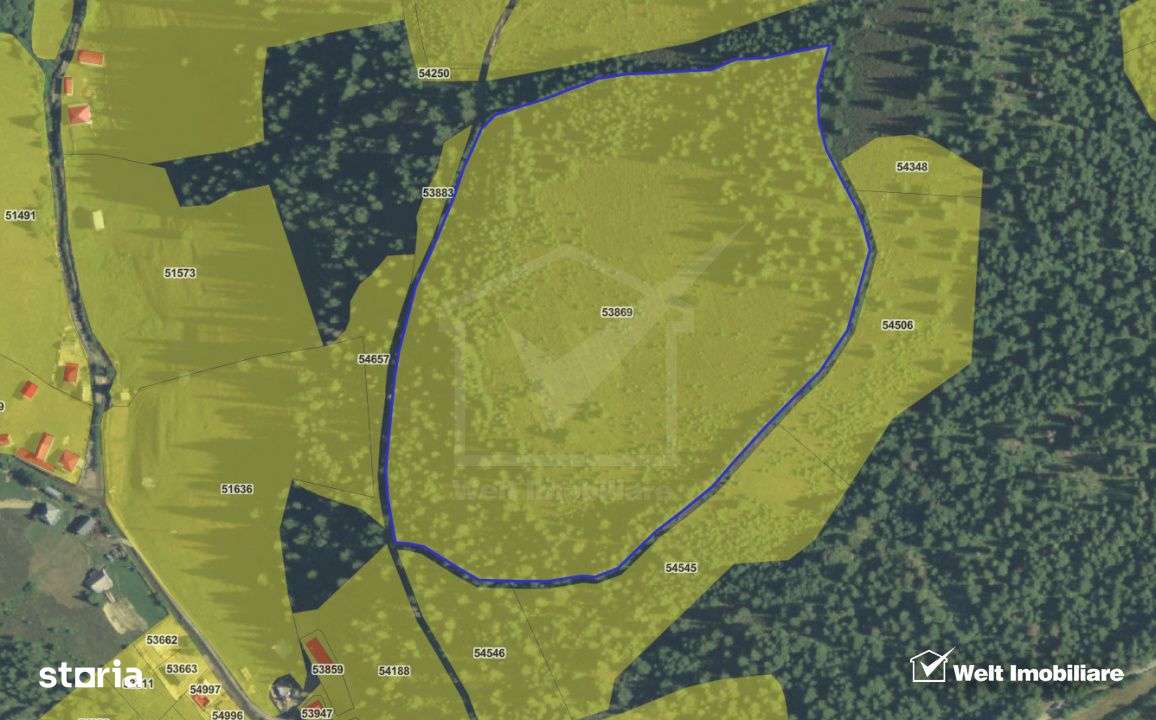 Se vinde teren cat un munte in Apuseni - Poiana Horea-16