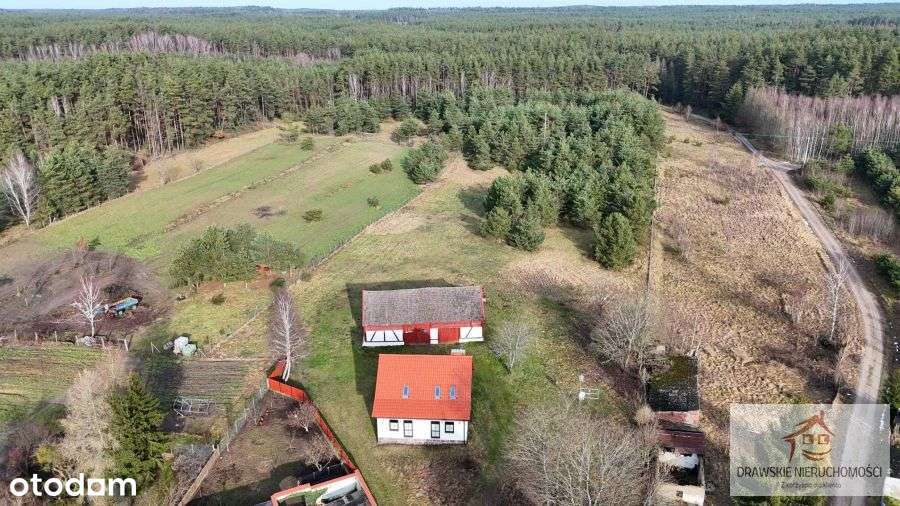 Urokliwy dom na pięknej działce w Polnym - Pełny obrazek: 5/14