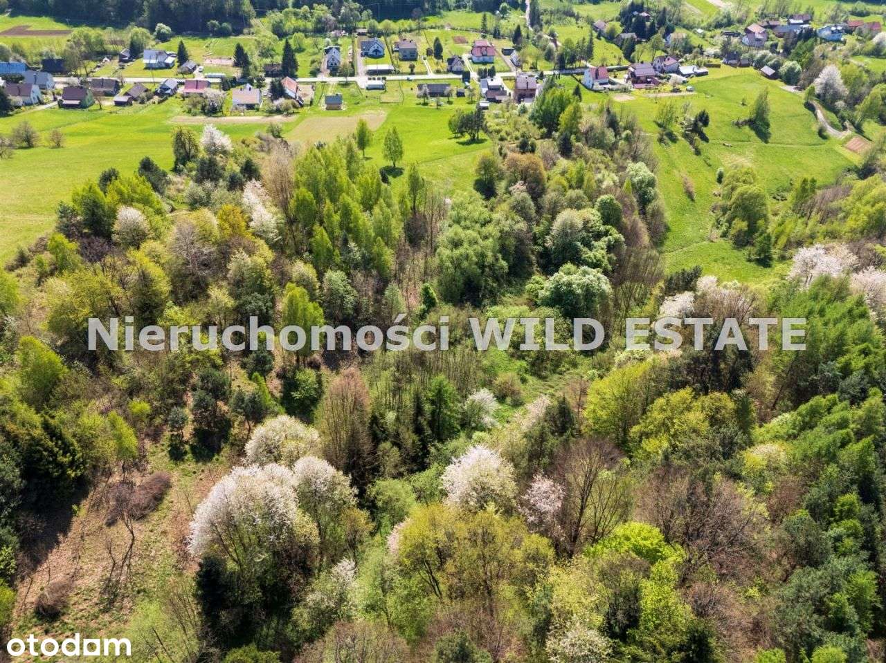 Działka, 8 219 m², Lesko - Pełny obrazek: 4/4