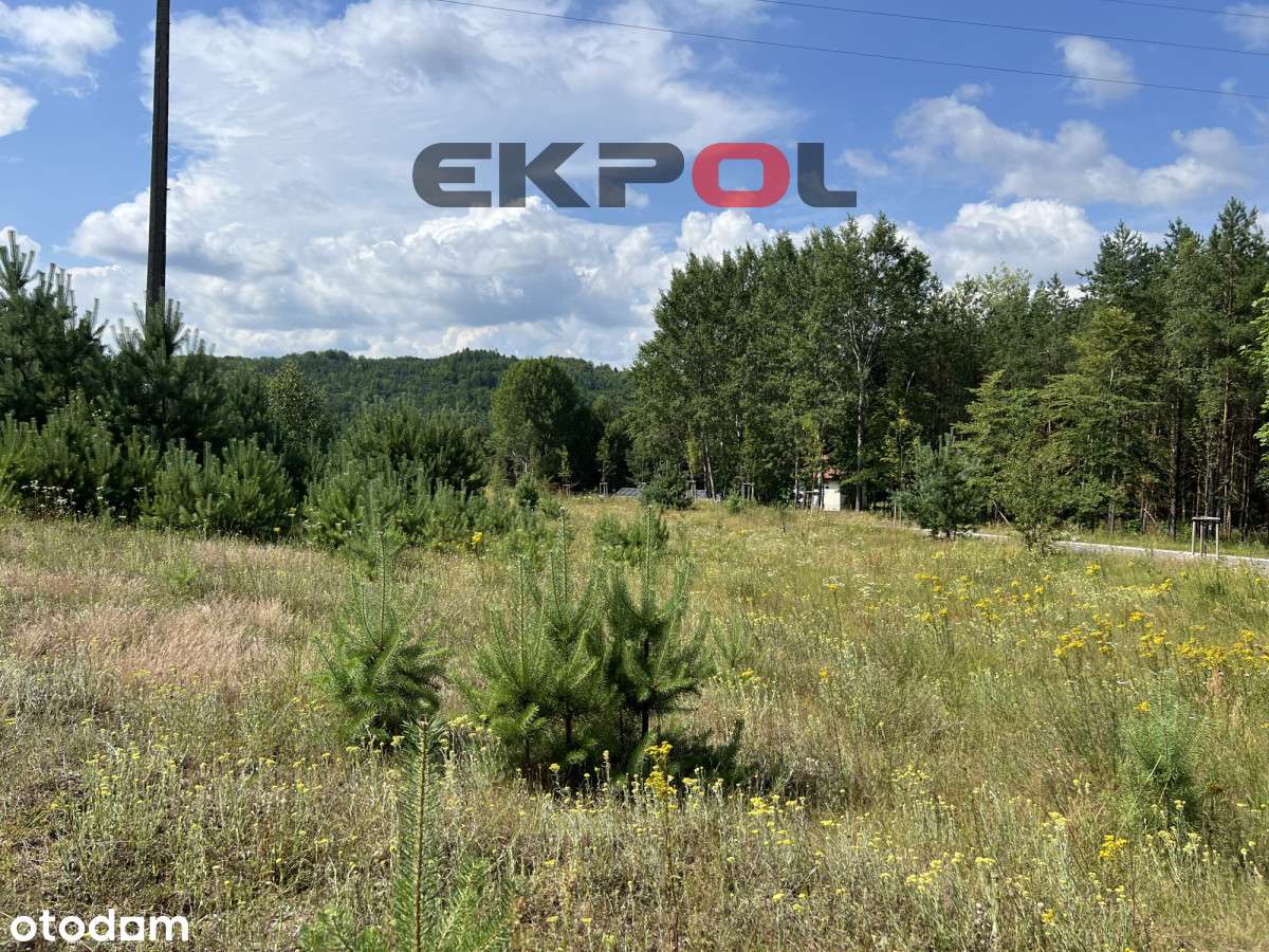 Piękna działka nieopodal czterech jezior Rekowo-10