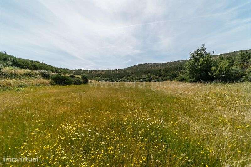 Quinta Estúdio / Covilhã, Serra da Estrela - Grande imagem: 4/11