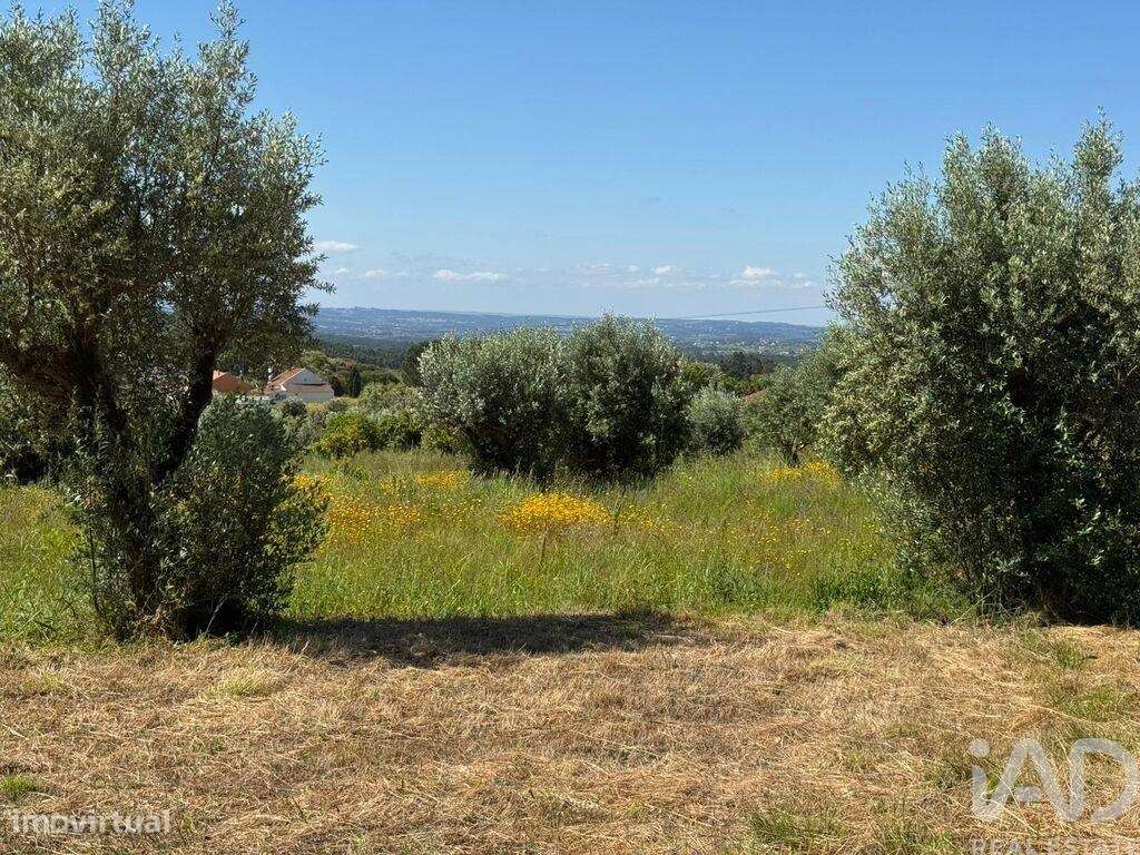 Terreno em Casais e Alviobeira de 2160,00 m2 - Grande imagem: 5/6