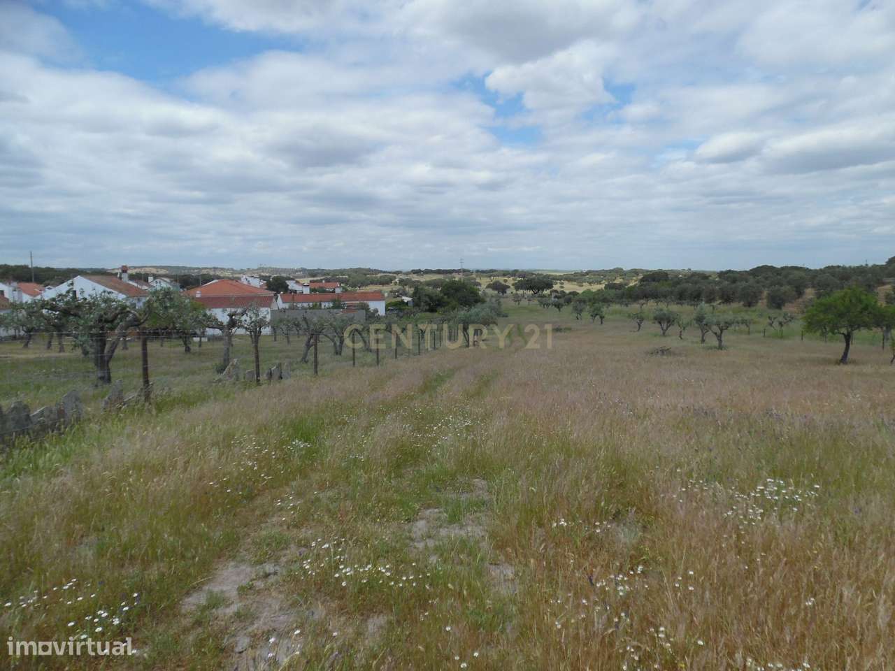 Quinta em Capelins,  Alandroal - Évora,  Oportunidade Única-28