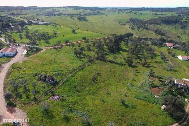 Quinta em Vale Seco  com projecto aprovado - Grande imagem: 5/10