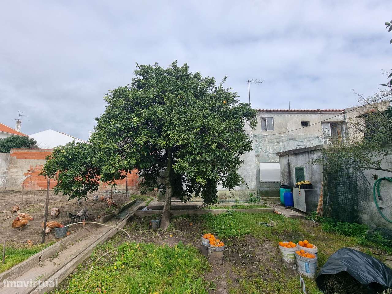 Terreno Urbano – Grândola-11