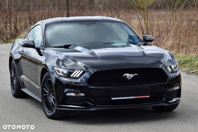 Ford Mustang - 5