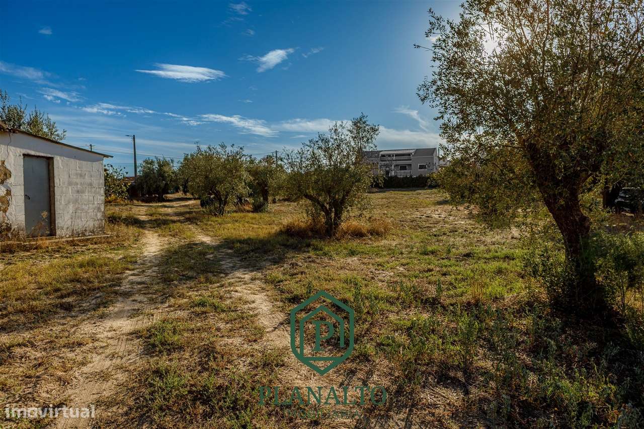 Quinta  Venda em Cortiçadas de Lavre e Lavre,Montemor-o-Novo-9