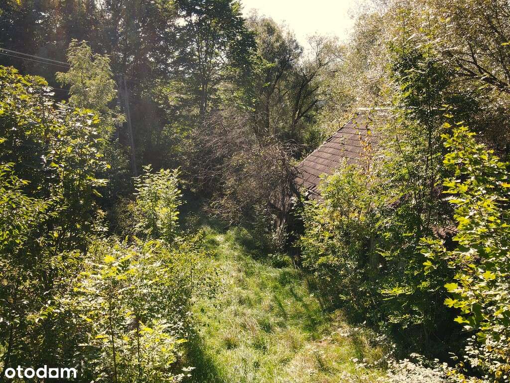 Dom o pow. 450 m2 w Orawce-12