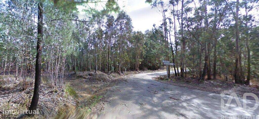 Terreno Agrícola em Espinhal de 800,00 m2 - Grande imagem: 2/11