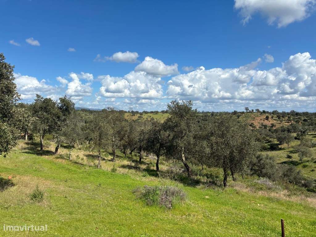 Quinta T2 em Serpa | Vista para a barragem-39