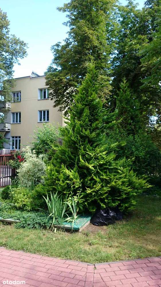 2-pokojowe 45 m² z balkonem i oddzielną kuchnią, duża piwnica-17
