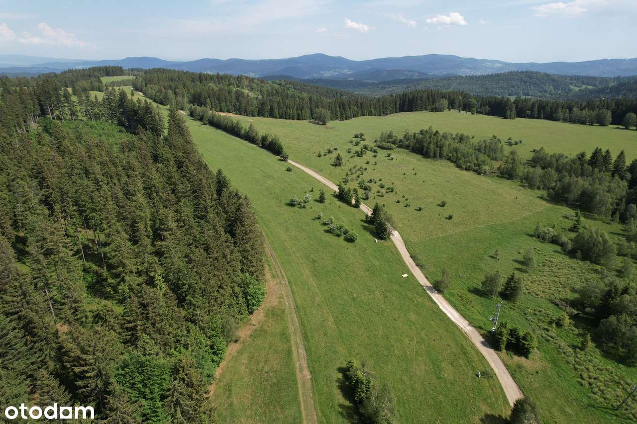 Widokowe działki budowlane w masywie Śnieżnika-narty i MTB Czarna Góra - Pełny obrazek: 4/13