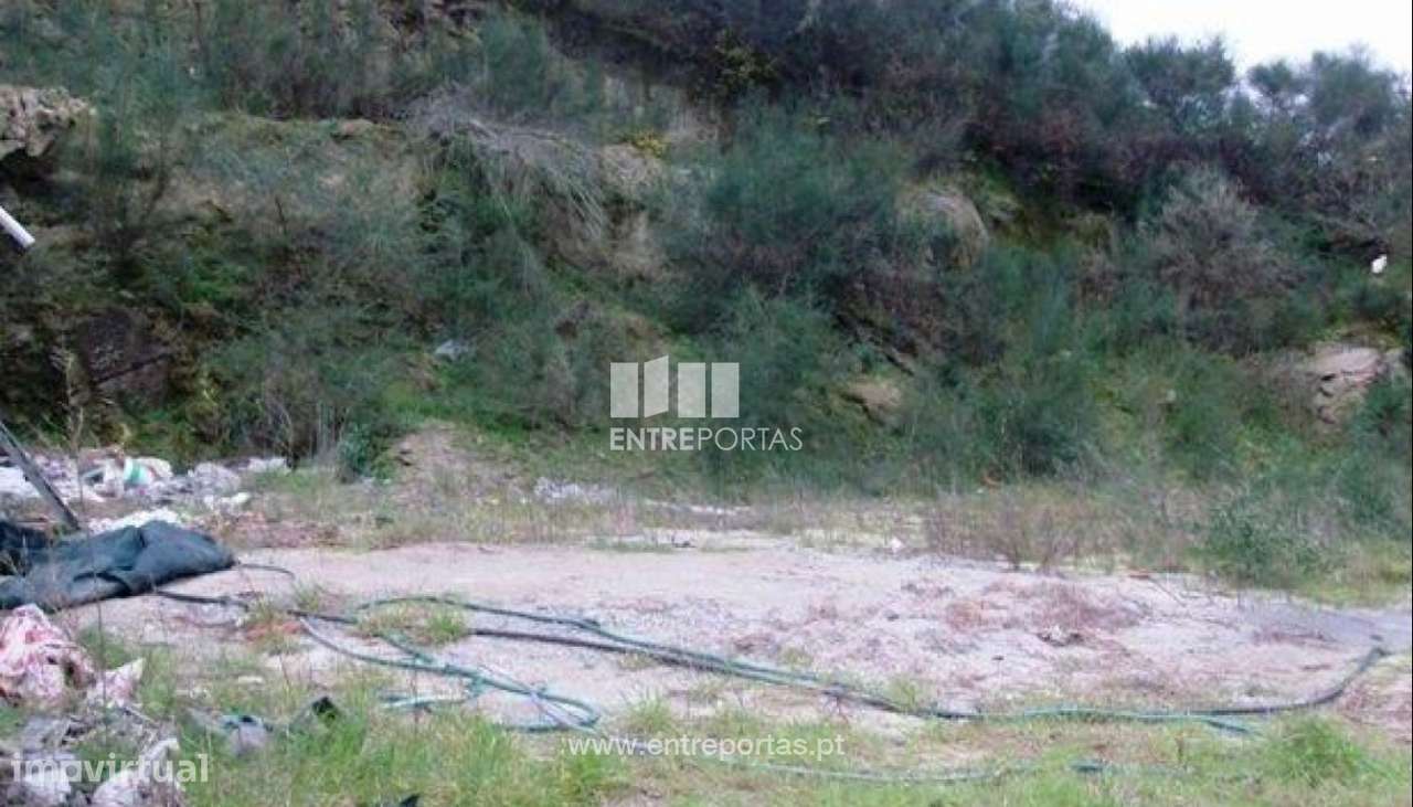 Lote - Serreleis - Grande imagem: 2/2