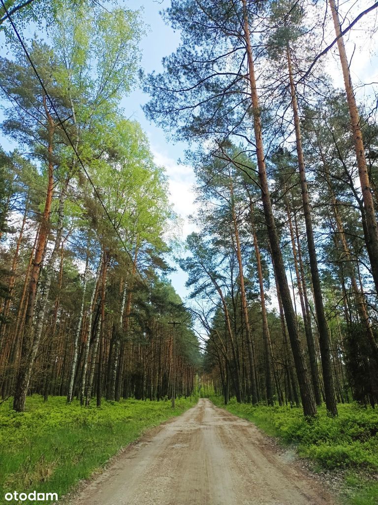 GM.WIELOWIEŚ CZARKÓW - działki na sprzedaż