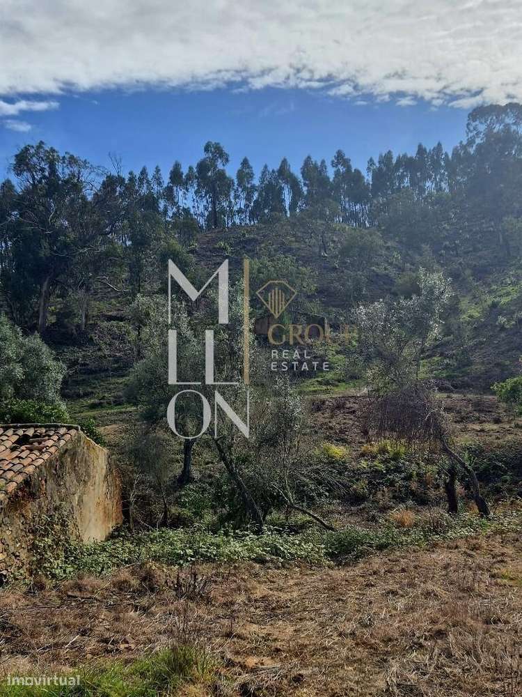 Quintinha em S. Teotónio com ruina para recuperar - Grande imagem: 5/22