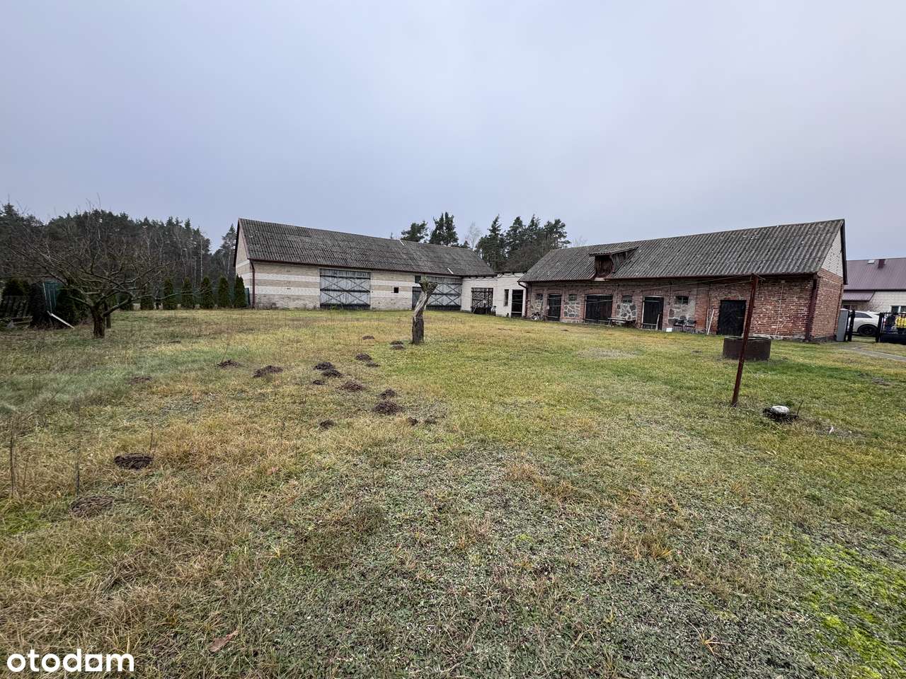 Działka budowlana dom gospodarstwo Siedlisko 9500m2 LUBICE - Pełny obrazek: 4/6