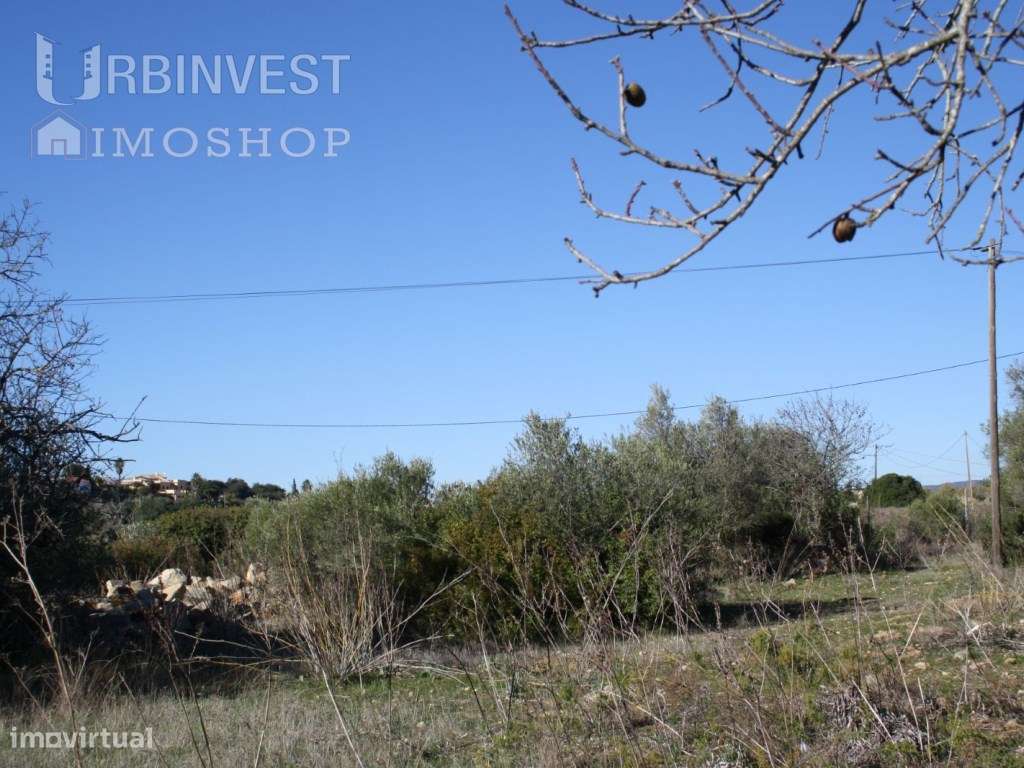 Terreno com ruína para reconstruir em Conceição-Faro, Algarve - Grande imagem: 5/7