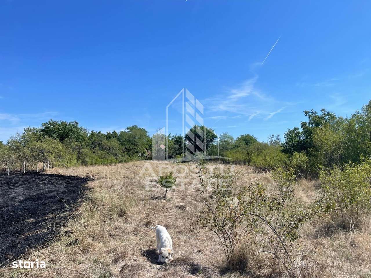 Casa cu teren 3407 mp, la asfalt, Seceani, 26 km de Timisoara. - Imagine principală: 4/7